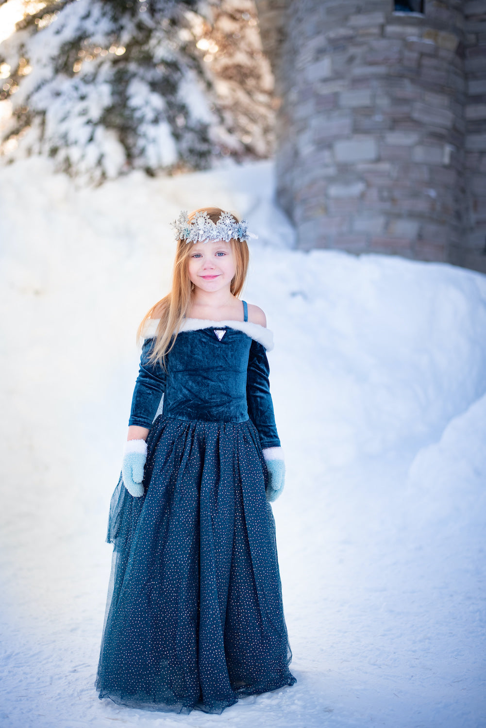 Frozen Elsa Queen Party Costume